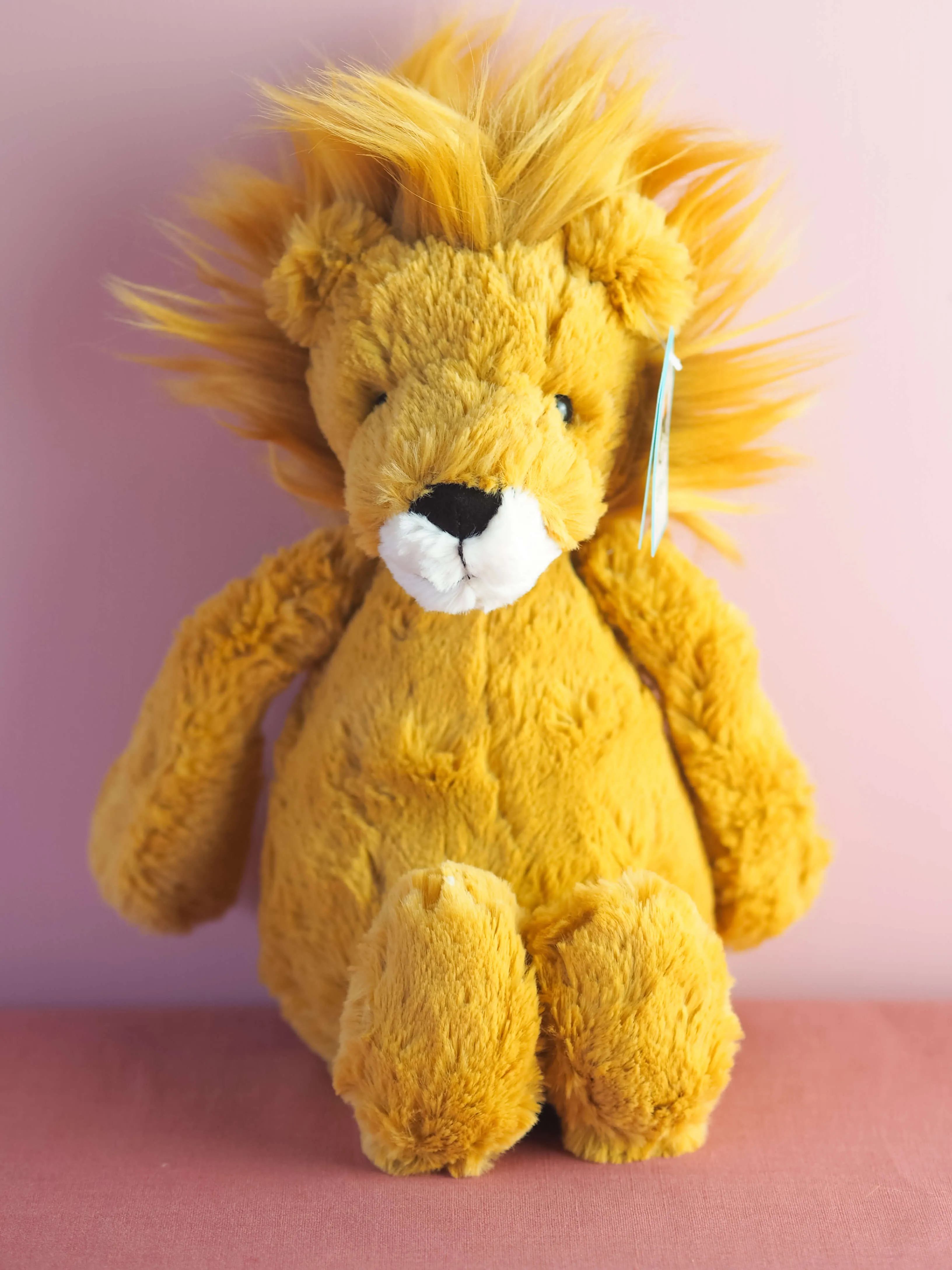 Bashful Lion