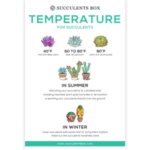 Infographic: Temperature for Succulents